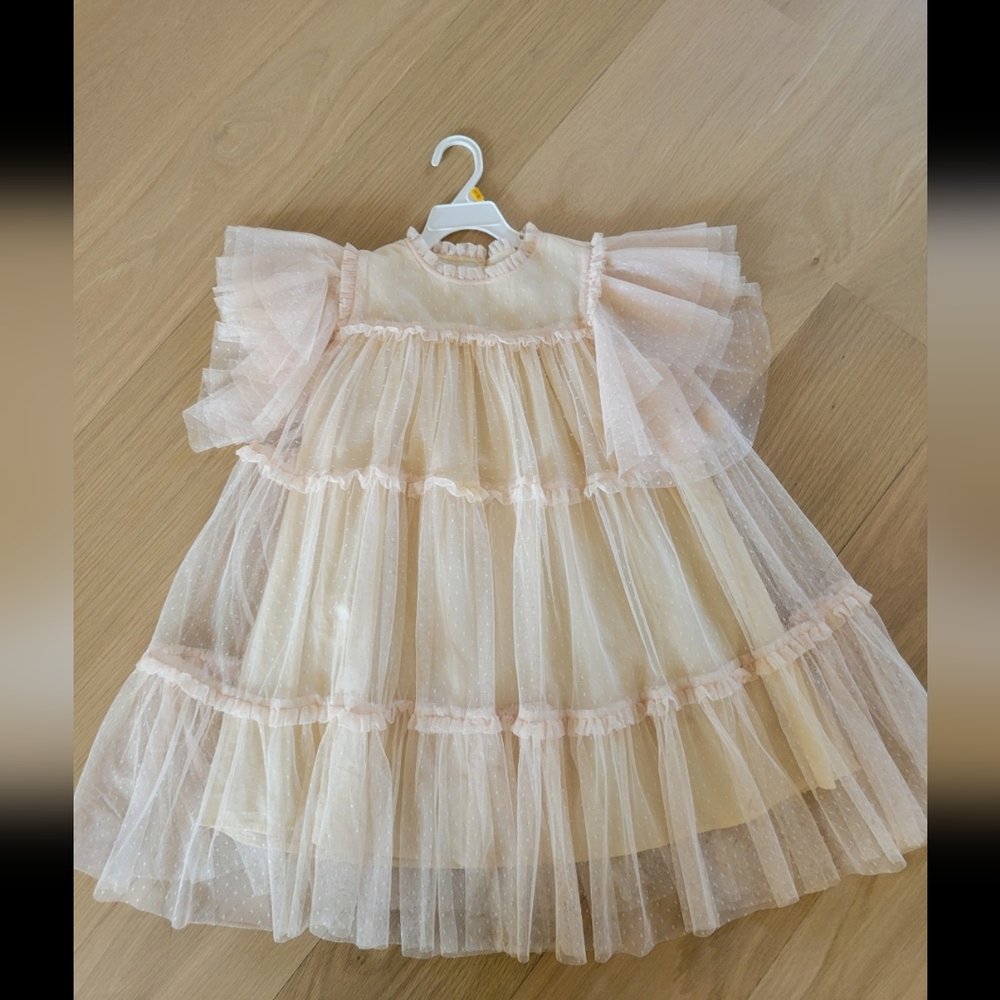 Gorgeous Cera Una volta girls crean tulle dress